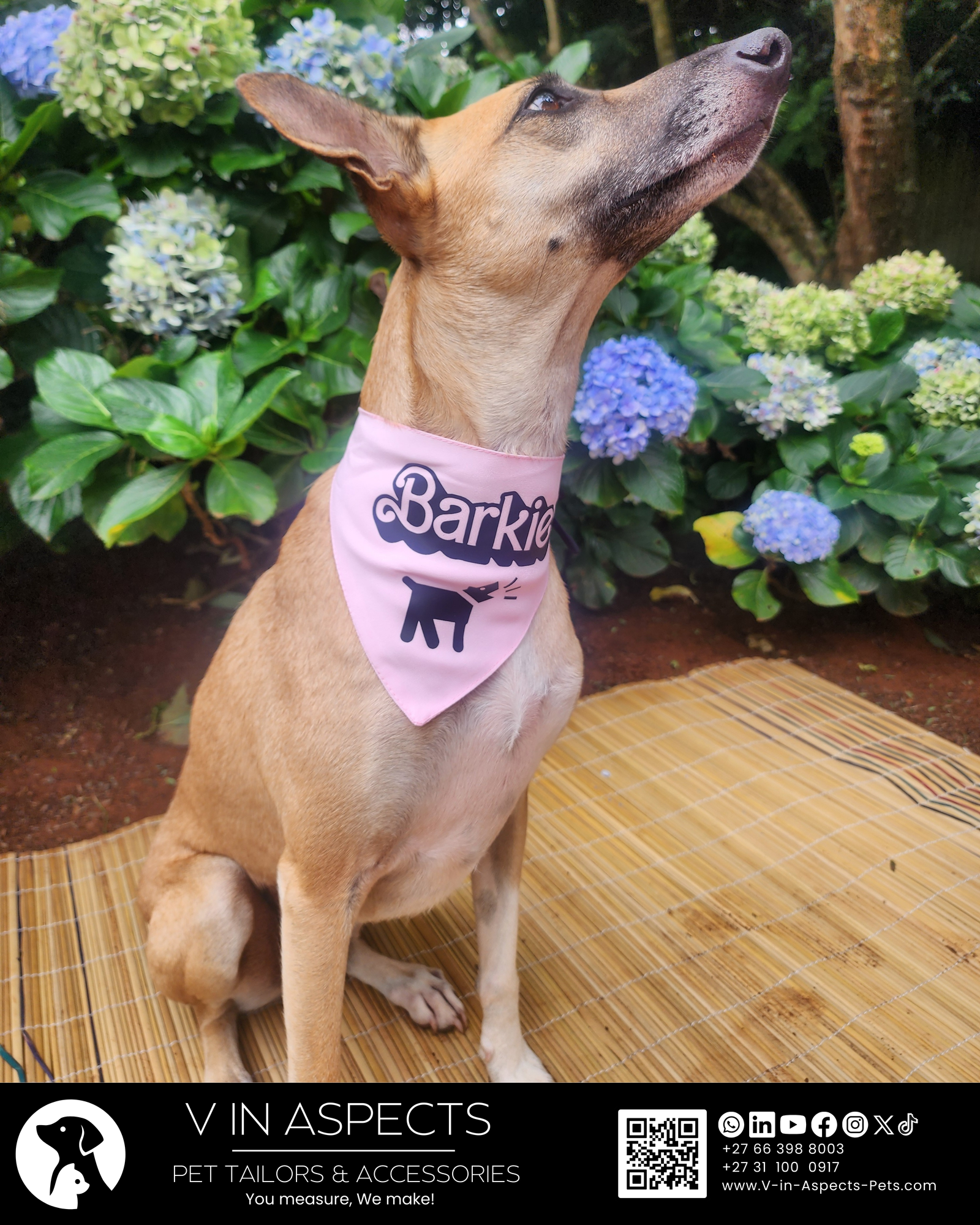 Dog Bandana - Barkie!