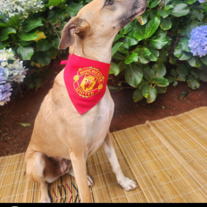 Dog Soccer Bandana - Man United