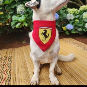 Dog F1 Racing Bandana - Ferrari