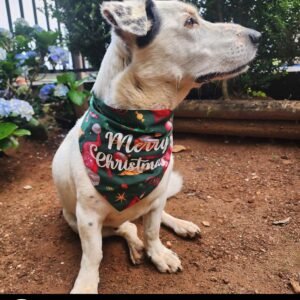Dog Christmas Bandana - Green Christmas Presents