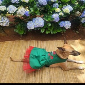 Dog Christmas Reversible Dress - Grinch & Barking Reindeer woof!