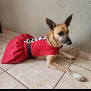 Dog Christmas Reversible Dress - Santa Claus & Candy Cane Cutie