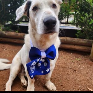 Dog Christmas Bow Tie - Let it snow!