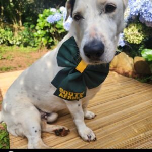 Dog South Africa Sailor Bow Tie - Bokke