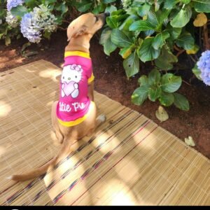 Dog Cartoon T-shirt - Cutie Pie