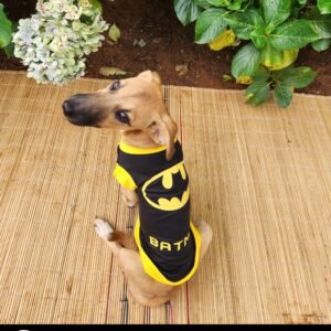Dog Superhero T-shirt - Batman