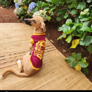 Dog Harry Potter T-shirt - Gryffindor