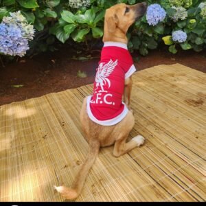 Dog Soccer T-shirt - LFC