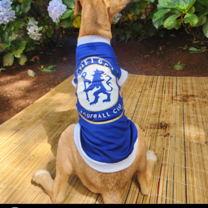 Dog Soccer T-shirt - Chelsea