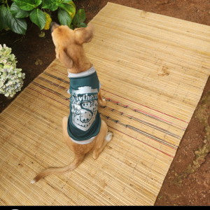 Dog Harry Potter T-shirt - Slytherin