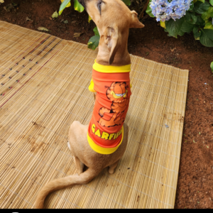 Dog Movie T-shirt - Garfield