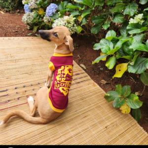 Dog Harry Potter T-shirt - Gryffindor