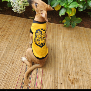 Dog Harry Potter T-shirt - Hufflepuff
