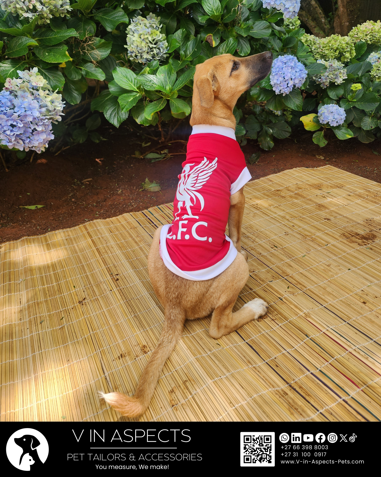 Dog Soccer T-shirt - LFC